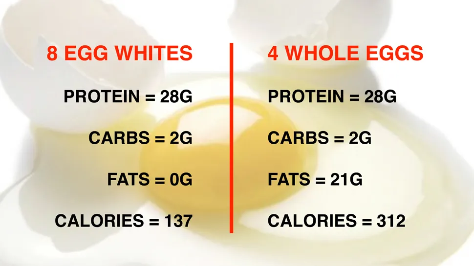 4 eggs how much protein