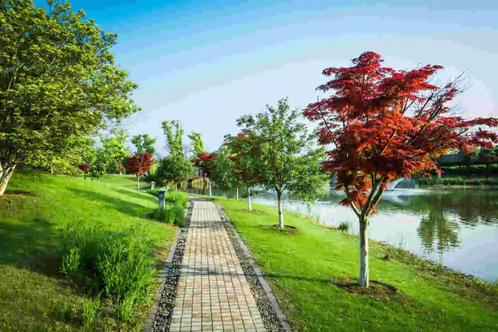 Why go to nature at least once a day