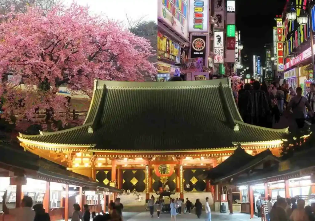 japanese phrases for travel
