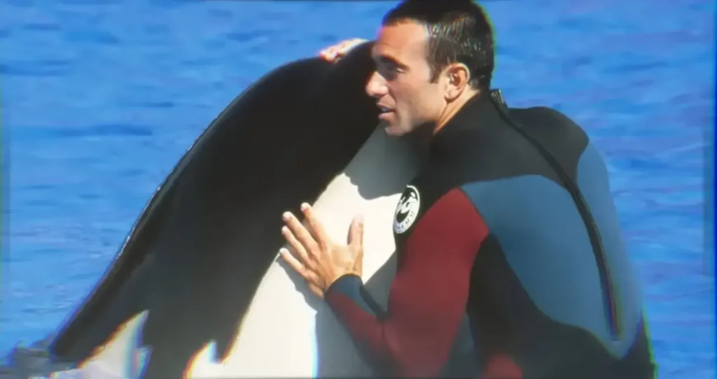 Past Cases of Orca Attacks