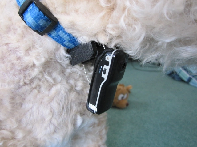 Pet Collar Camera