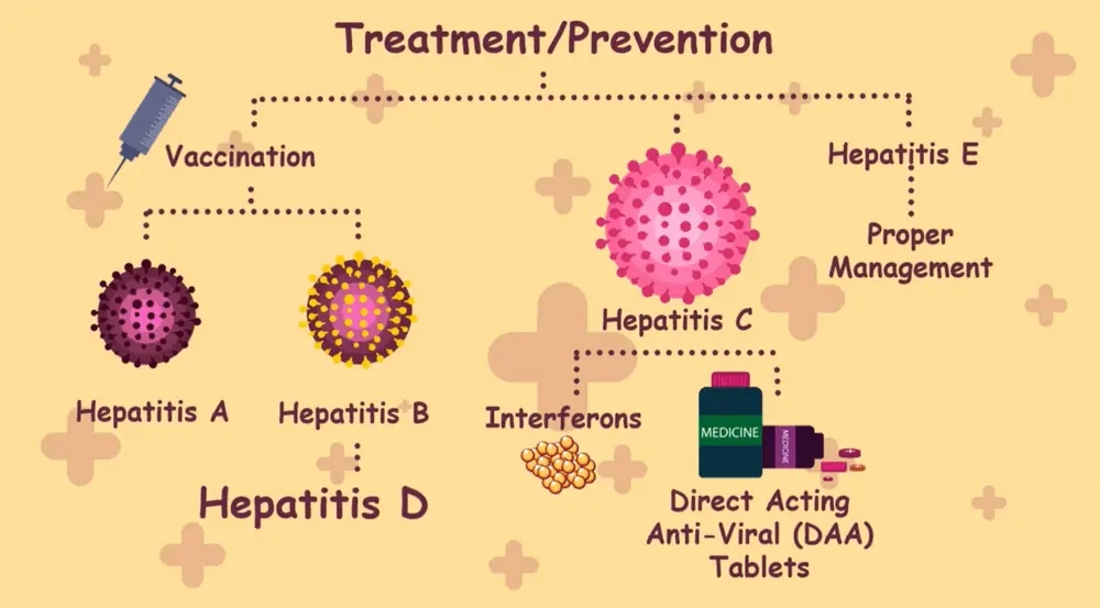 What Is the Treatment for Hepatitis E