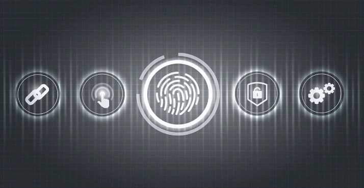 Biometric Authentication