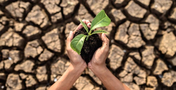 Strategies for Extreme Weather