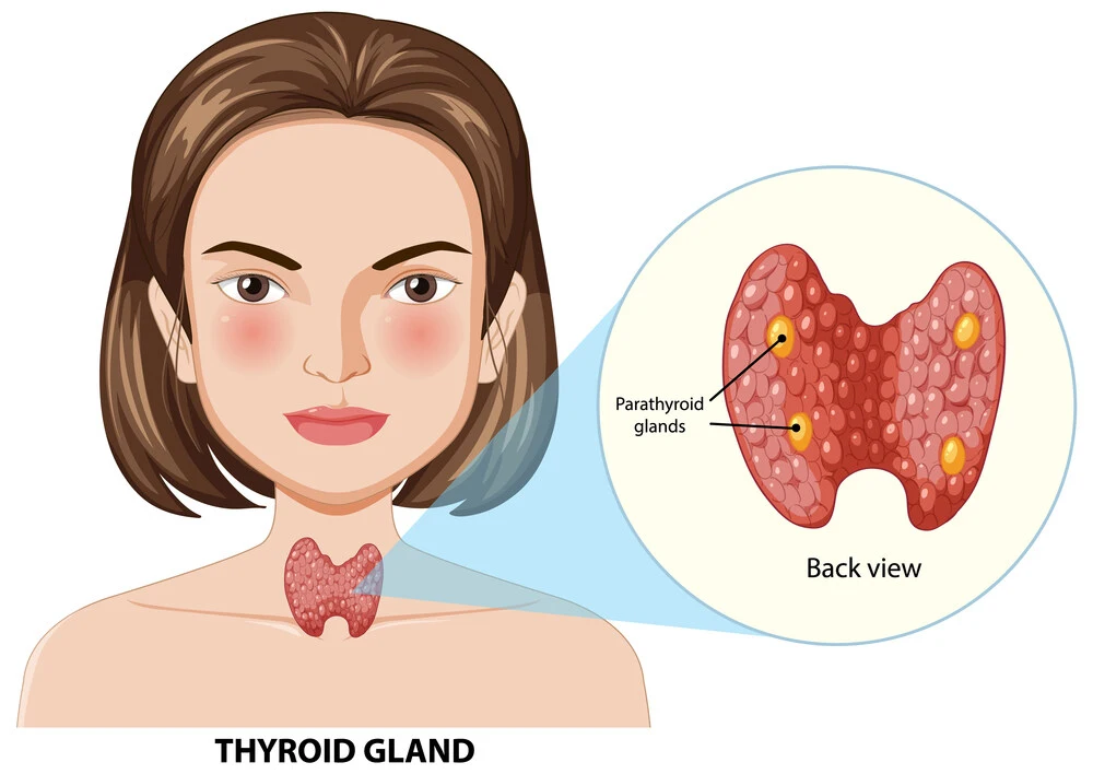 What’s Hypothyroidism, Anyway