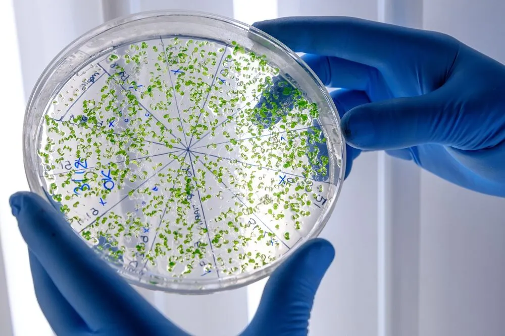 What’s Listeria, Anyway