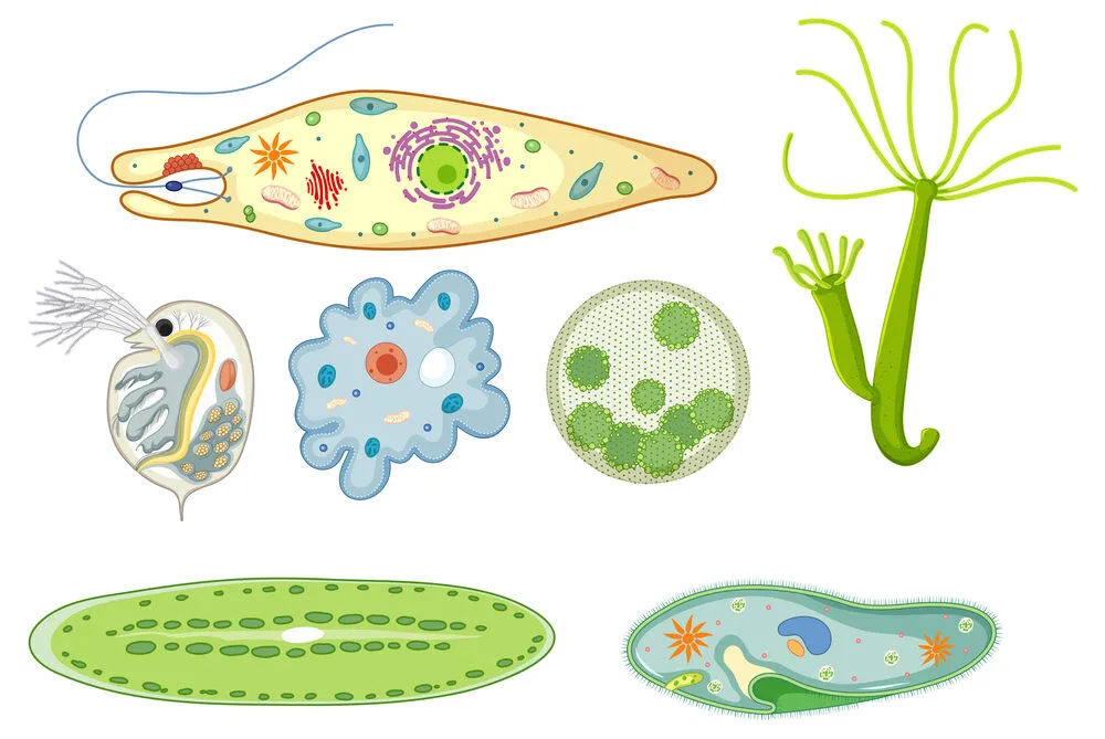 All Fastidious Microorganisms Require Which of the Following for Growth