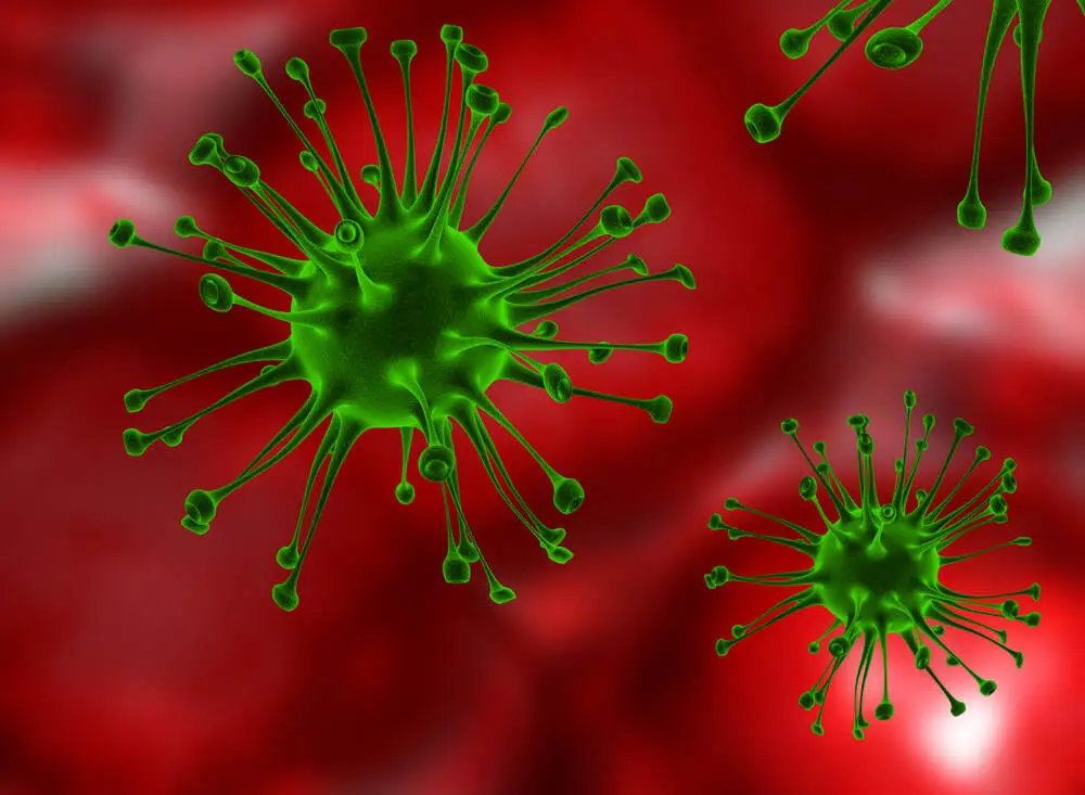 First Things First What Exactly Is Cholera Toxin B